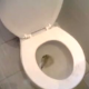 A black girl is video recorded while she is finishing up her shit in the bathroom. She is a good sport about it and gets off of the toilet to show us her finished product!